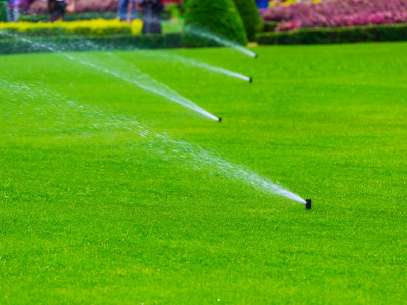 Irrigation